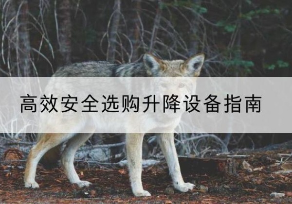 双鸭山升降货梯厂家推荐-*安全选购升降设备指南
