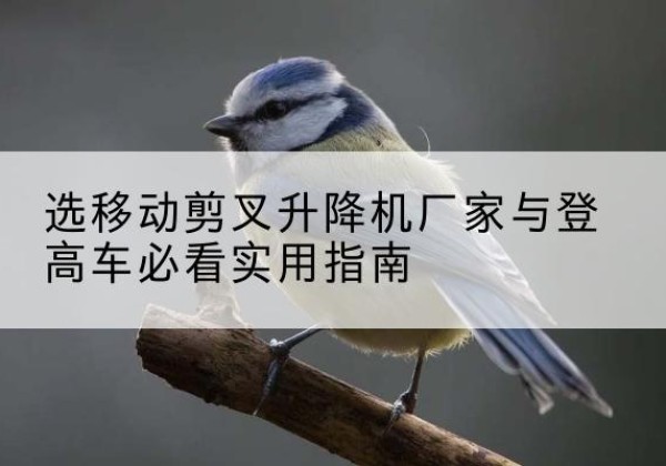 双鸭山电动升降机厂家-选移动剪叉升降机厂家与登高车必看实用指南
